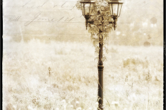 The Lamp Post
