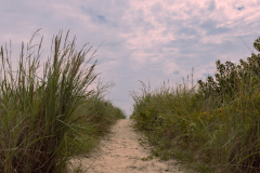 The Path