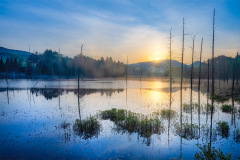 Pond Behind Aldis
