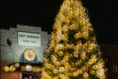 Town Hall Christmas Globes