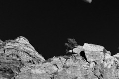 Moon Over Zion
