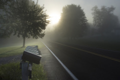 Country Road In Fog