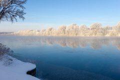 Hoar Frost Along The River
