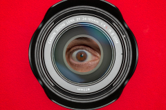 The Photographers Eye