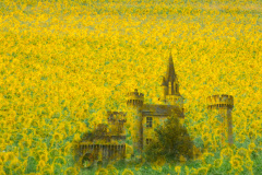 The Castle Amongst The Sunflowers