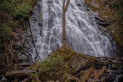 Carolina Waterfall