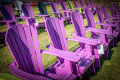 Sea Of Purple Seats