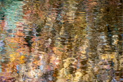 Reflection Mosaic