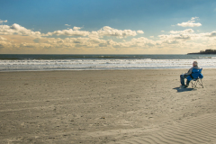 Shoreline Contemplation