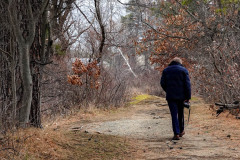 Walk In The Woods