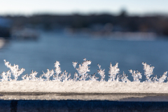 Ice Dance