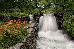 Waterfalls And Tiger Lillies