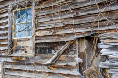 Dilapidated Barn Windows