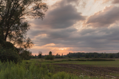 Backroad Sunsets