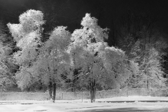 Nightime Ice Storm