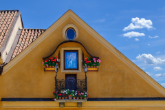 Flowers And Window