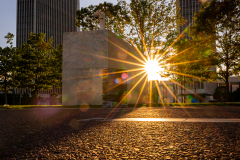 Sunburst On The Plaza