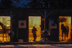 Stables At Dawn