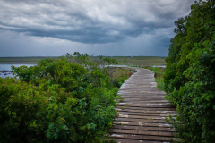 Dock Near Lucy Vincent Beach On Martha`s Vineyard