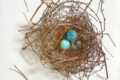 Nest And Marbles