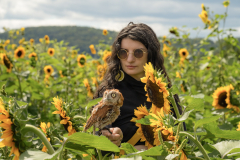 The Sunflower Witch Apprentice