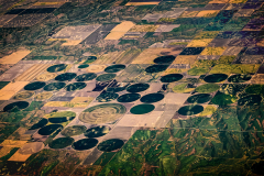 Geometry Of The Harvest