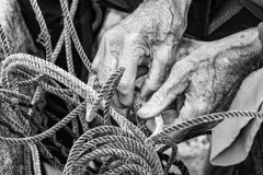 Untangling The Ropes