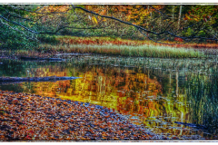 ADK Autumn Reflections Raquette Lake Shores Edge Series 2