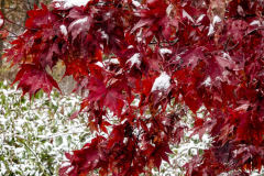 Between Fall And Winter