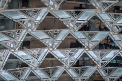 Albright Knox Ceiling