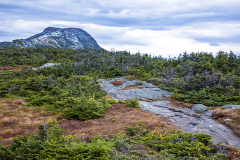 Summit Of Vermont