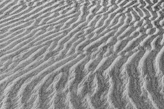 Coronado Island Sand