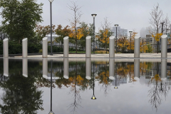 Parking Lot Reflection