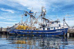 Mexican Fishing Boat