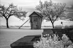 Throne Away From Home