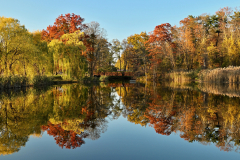 Reflections On Autumn