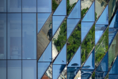 Manhattan Reflections