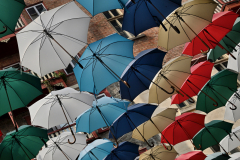 Hanging Between Storms