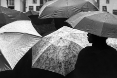 Rainy Day Umbrellas