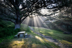 Splendid Day For A Picnic