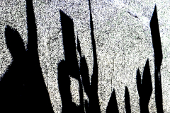 Protest [TOPIC: Shadows]