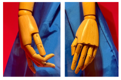Two Hands [TOPIC: Primary Colors]