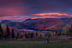 Twilight Embrace [TOPIC: Fall Colors]