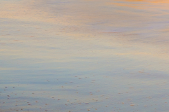 Natures Painting