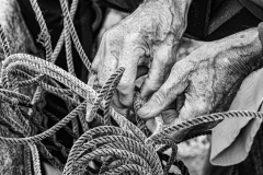 A Fishermans Hands