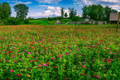 Field Of Dreams