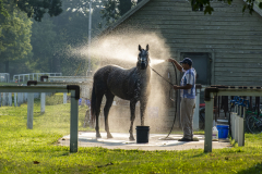 Morning Bath