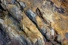 Metamorphic