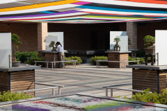 Weeding With Tweezers