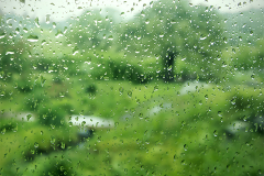 Rain Drops On My Window